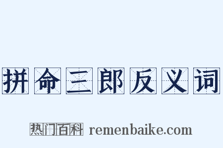 拼命三郎反义词是什么意思的图片